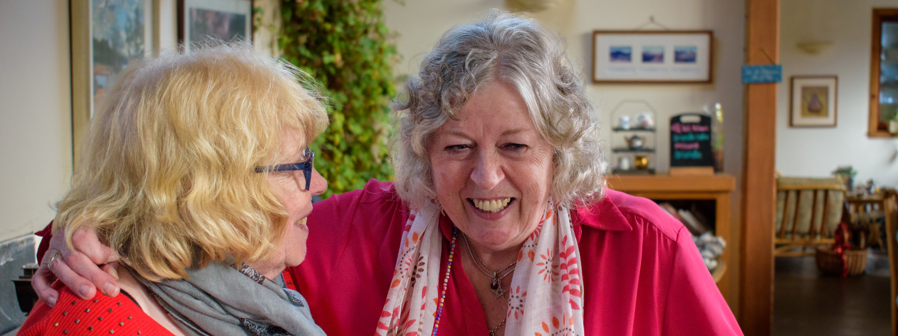 Helping Hands Befriending Service
